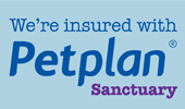 Insured with Petplan Sanctuary